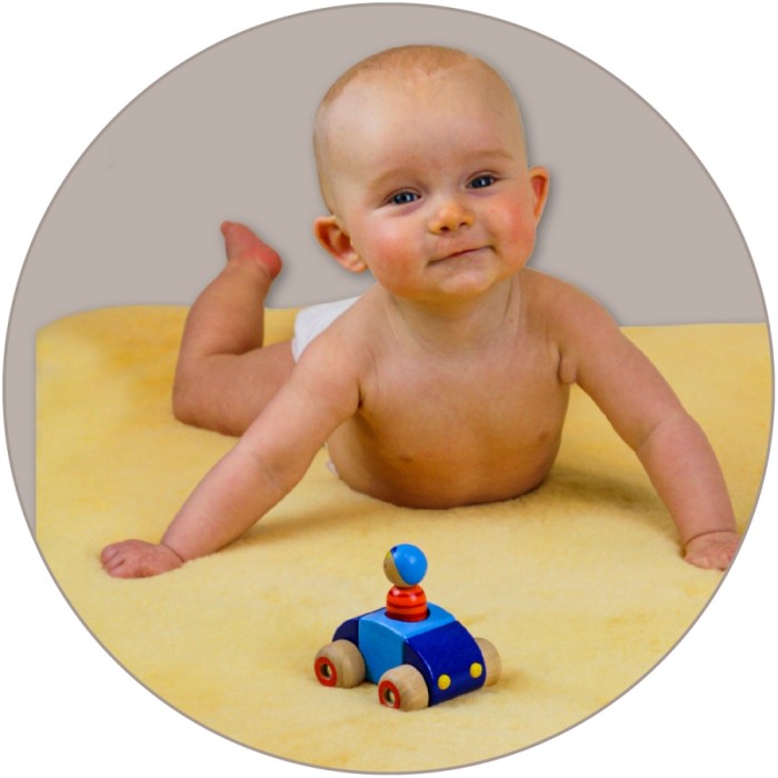Baby-Lammfelle, Auflagen, Einlagen | Heitmann Felle - Großhandel für Felle  und Fellprodukte
